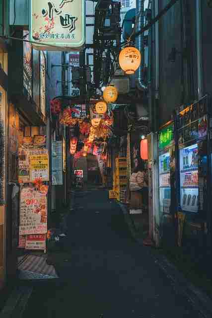 正式服蘑菇视频——十大看点玩家必看  第2张